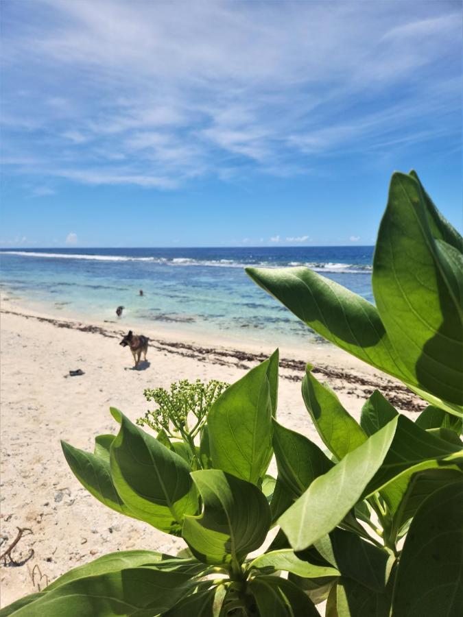 Green Villa Moorea Temae Екстериор снимка